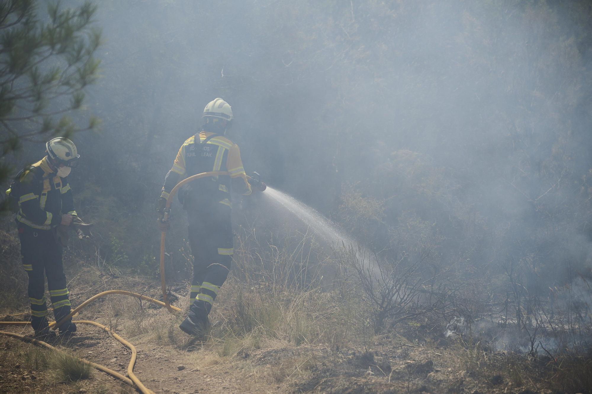 Fotos del incendio forestal cerca de Carcastillo
