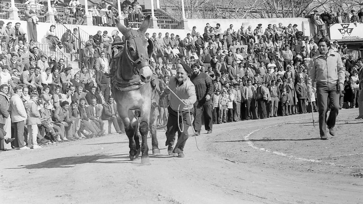 Feria de Tafalla en los 80