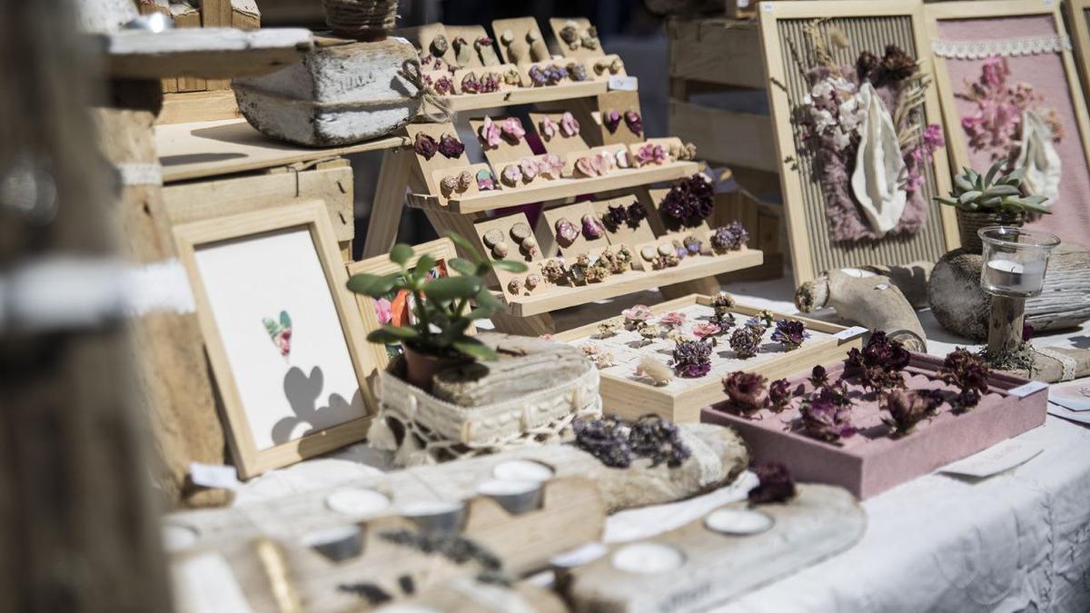 Dentro de poco, la página web de Wildseed estará disponible.