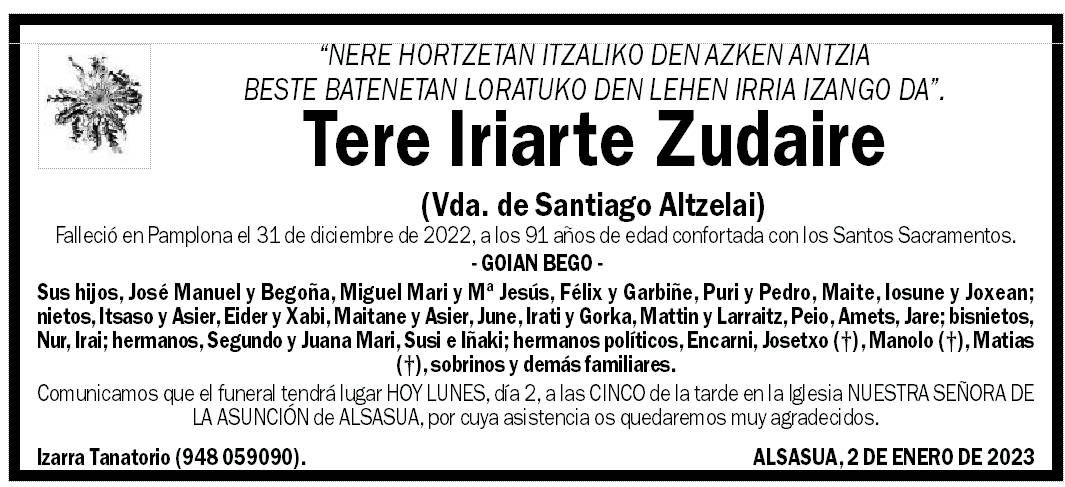 Tere Iriarte Zudaire