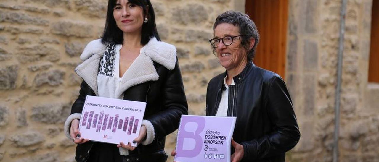 Navarra, en el banquillo de los derechos lingüísticos: cientos de quejas revelan una administración que sigue sin hablar en euskera