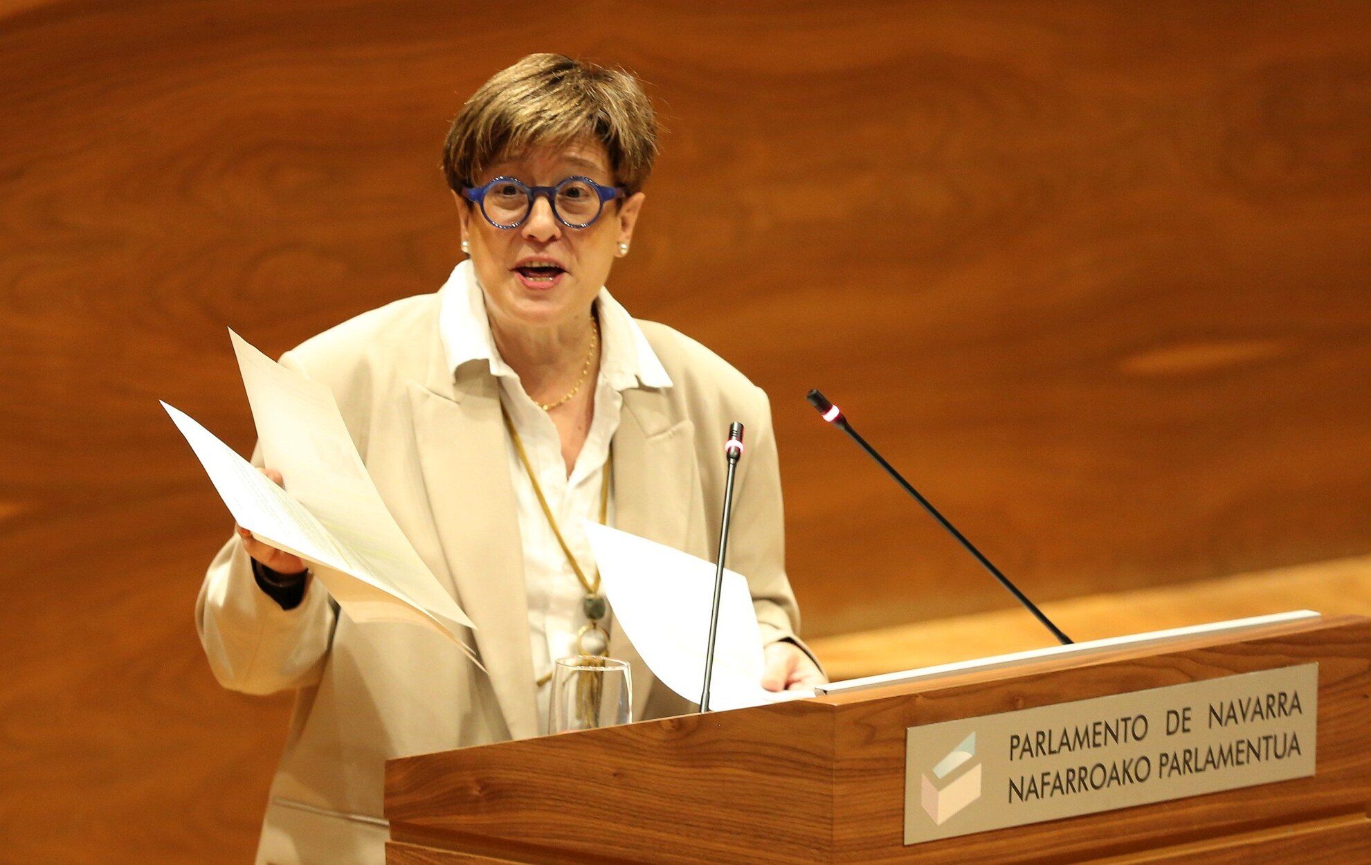 Reunión del pleno del Parlamento de Navarra