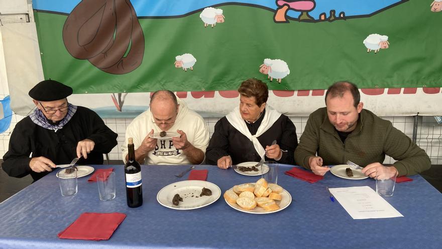 Ataungo XIV. Mondeju Lehiaketa, iruditan