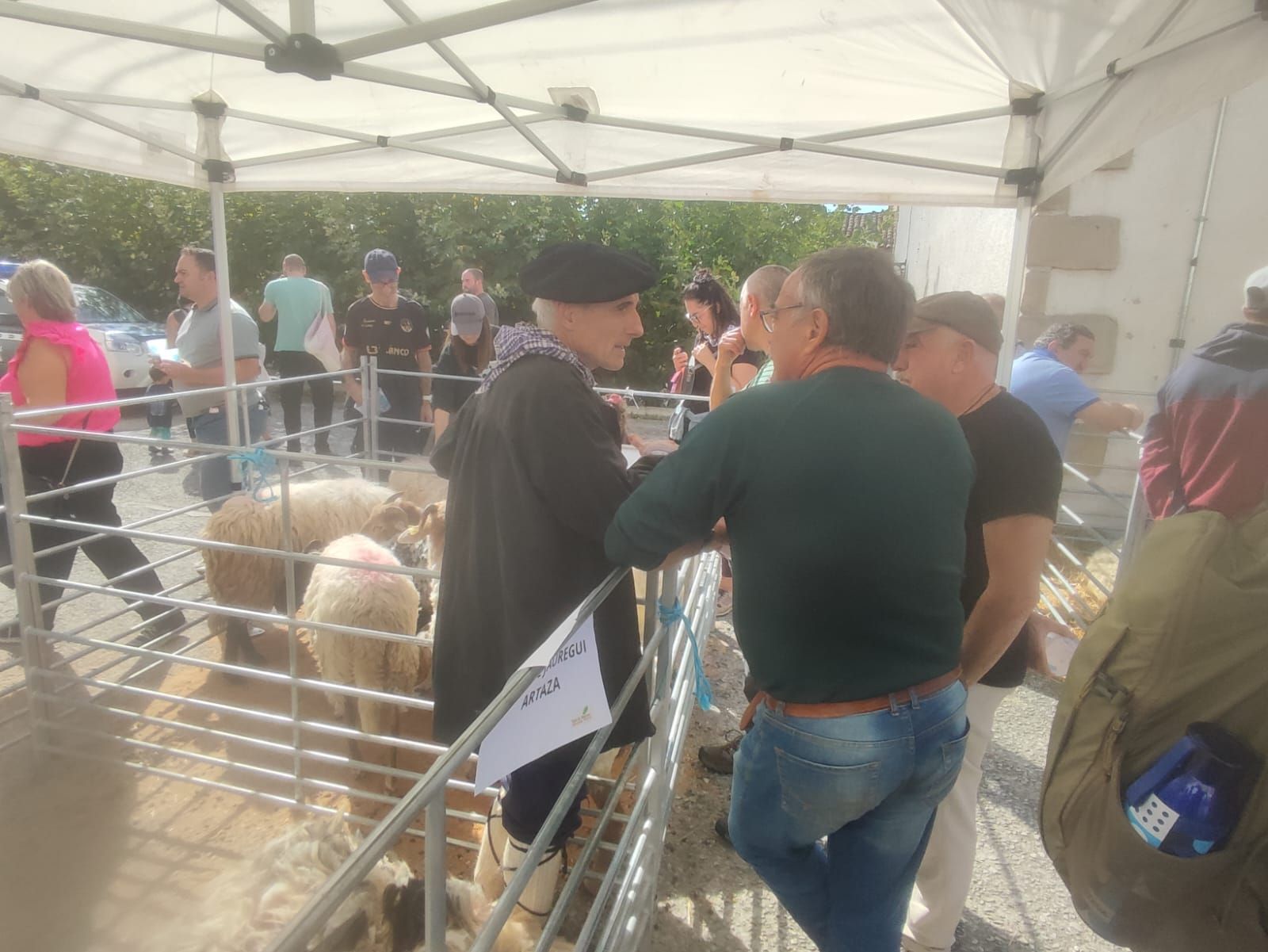 Fotos del Día del pastor en Améscoa