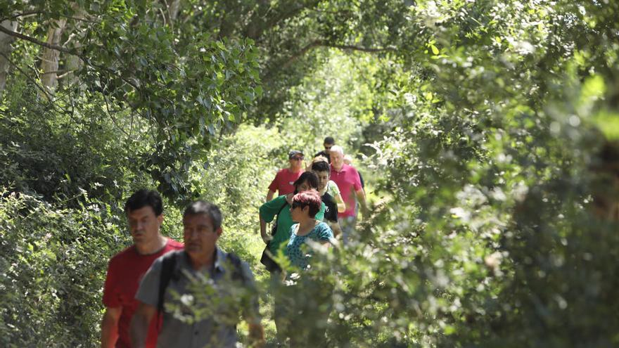 Varias personas caminan por uno de los nuevos senderos.