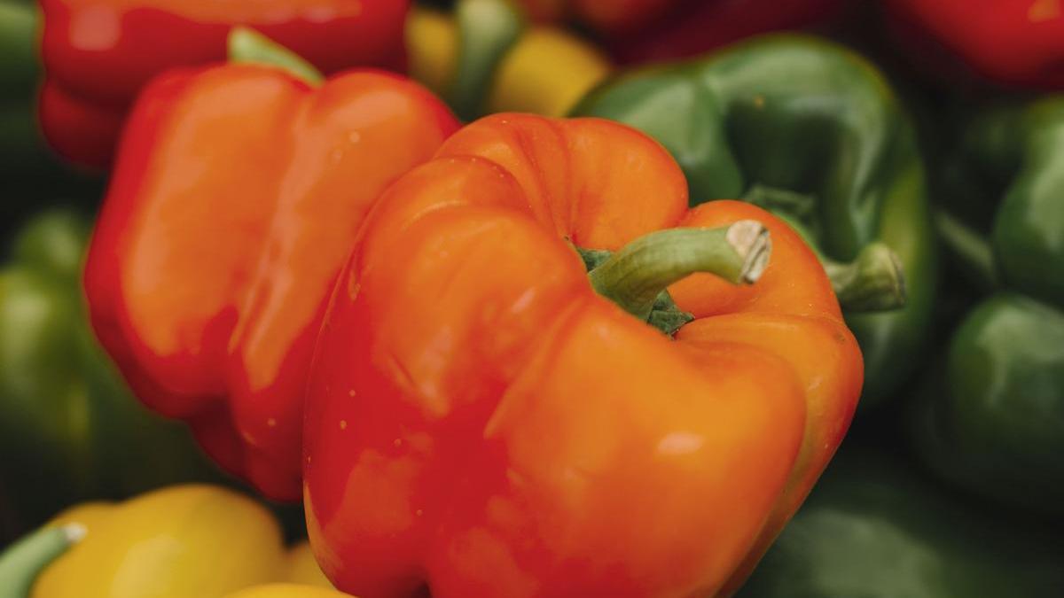 Pimientos rojos, amarillos y verdes.