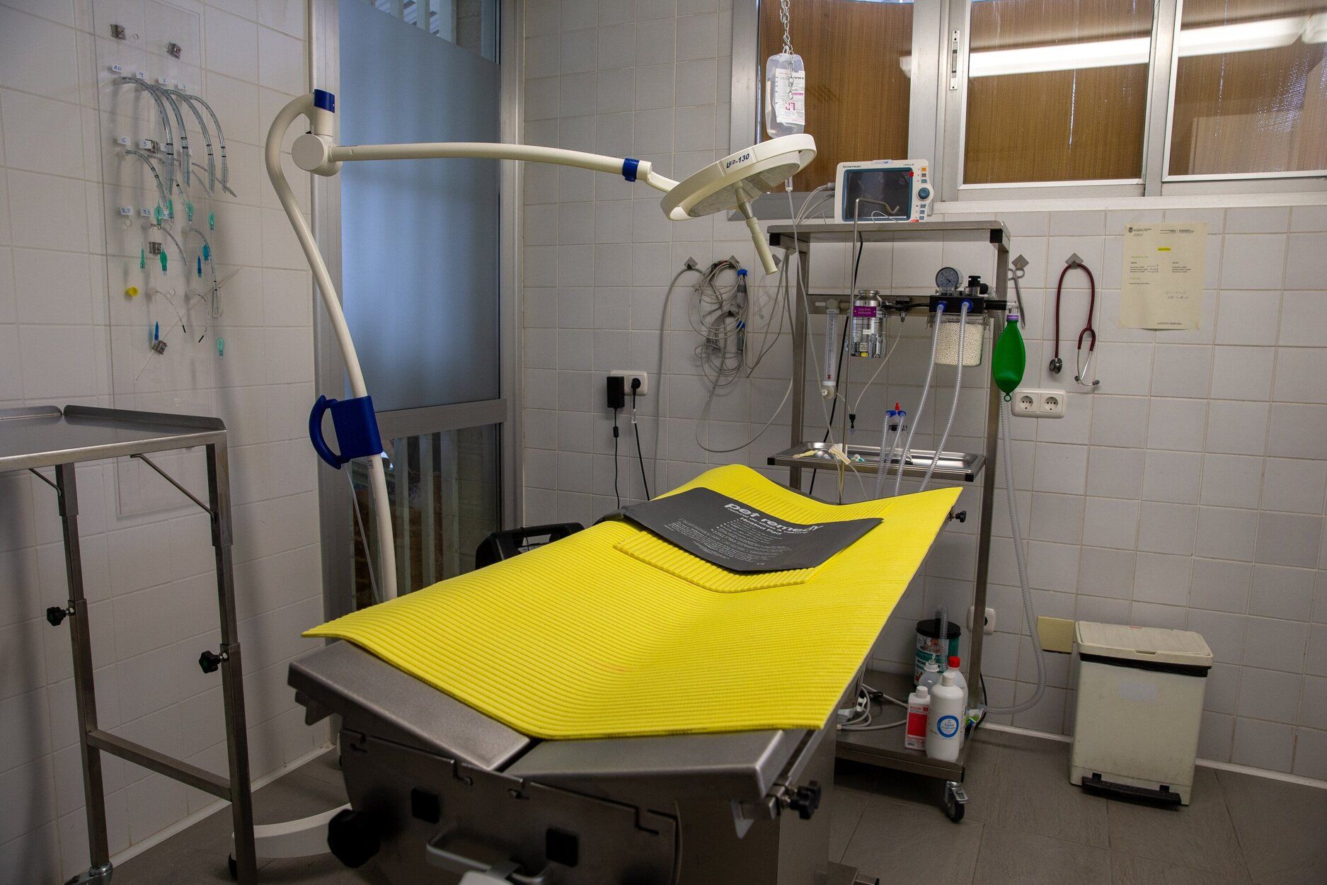 Fotos del Centro de Atención de Animales de Pamplona