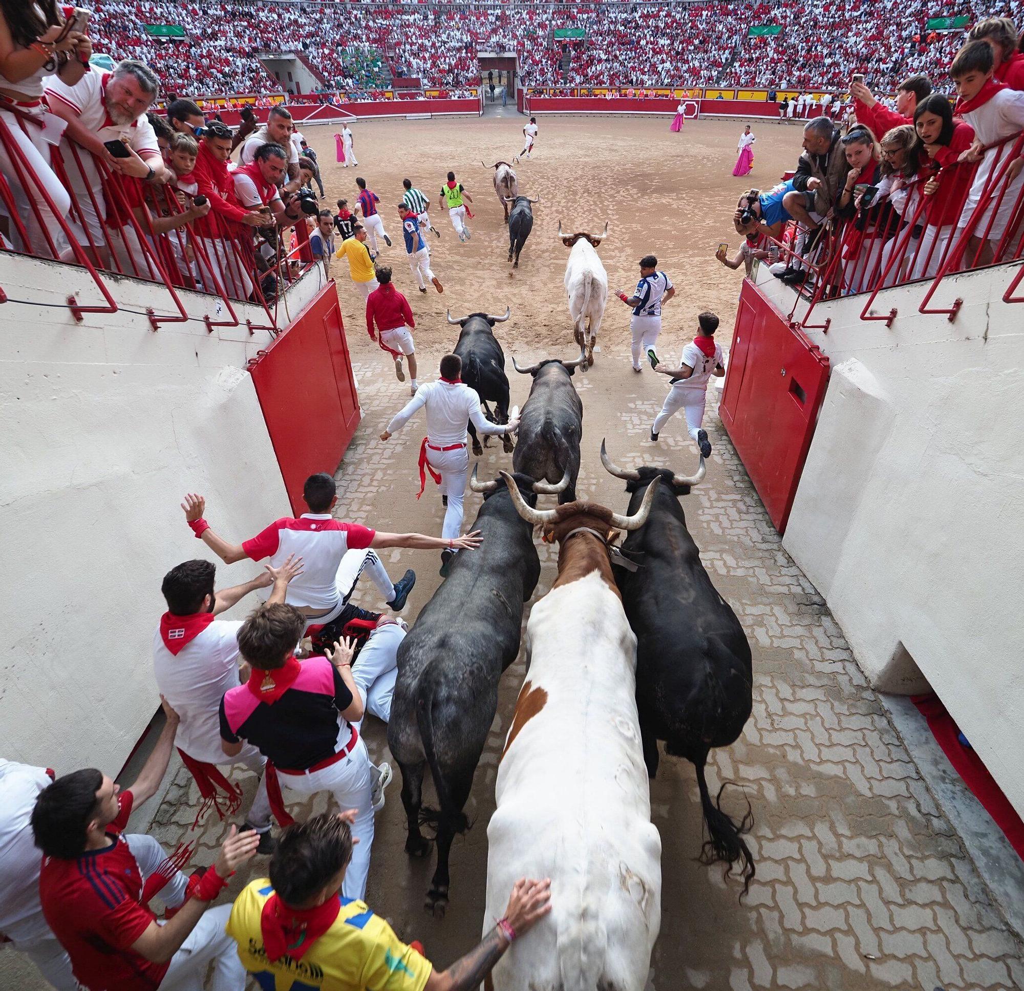 Fotos del octavo encierro de San Fermín con toros de Miura
