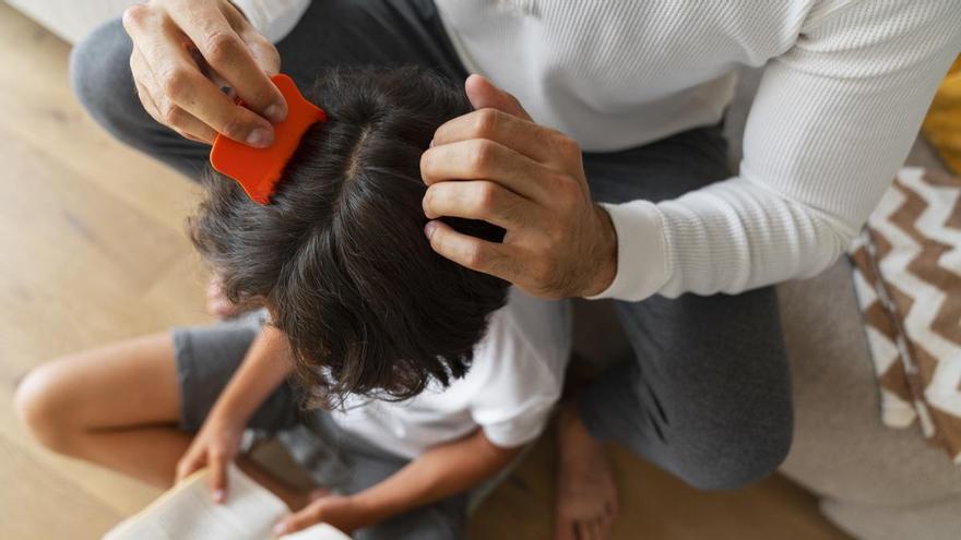 ¿Tiene piojos tu hijo? Cómo detectarlos y eliminarlos correctamente