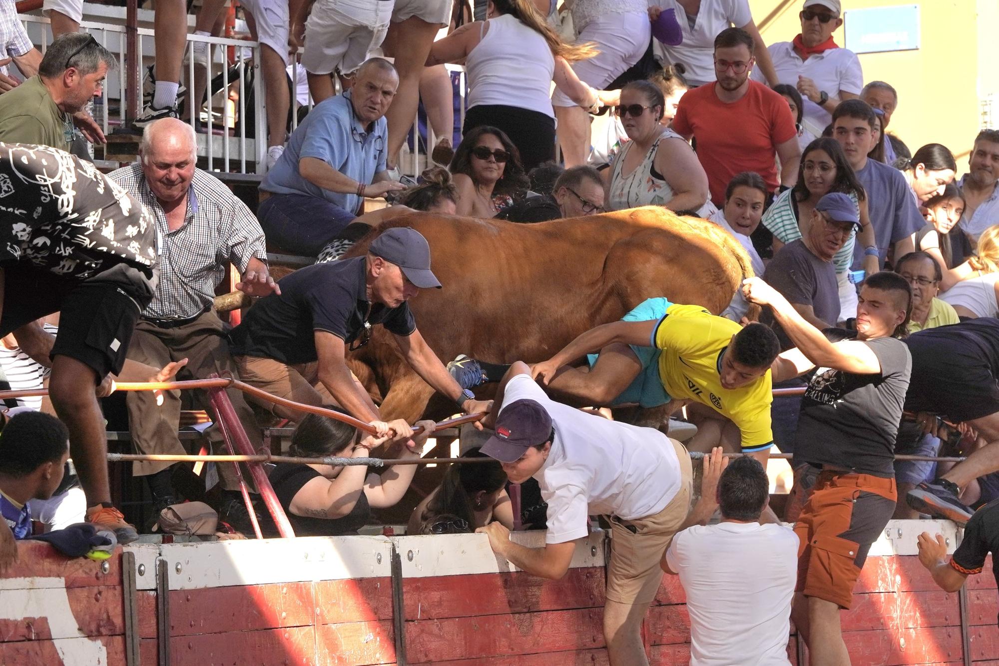 Así ha sido el salto de un toro a la grada en Cadreita