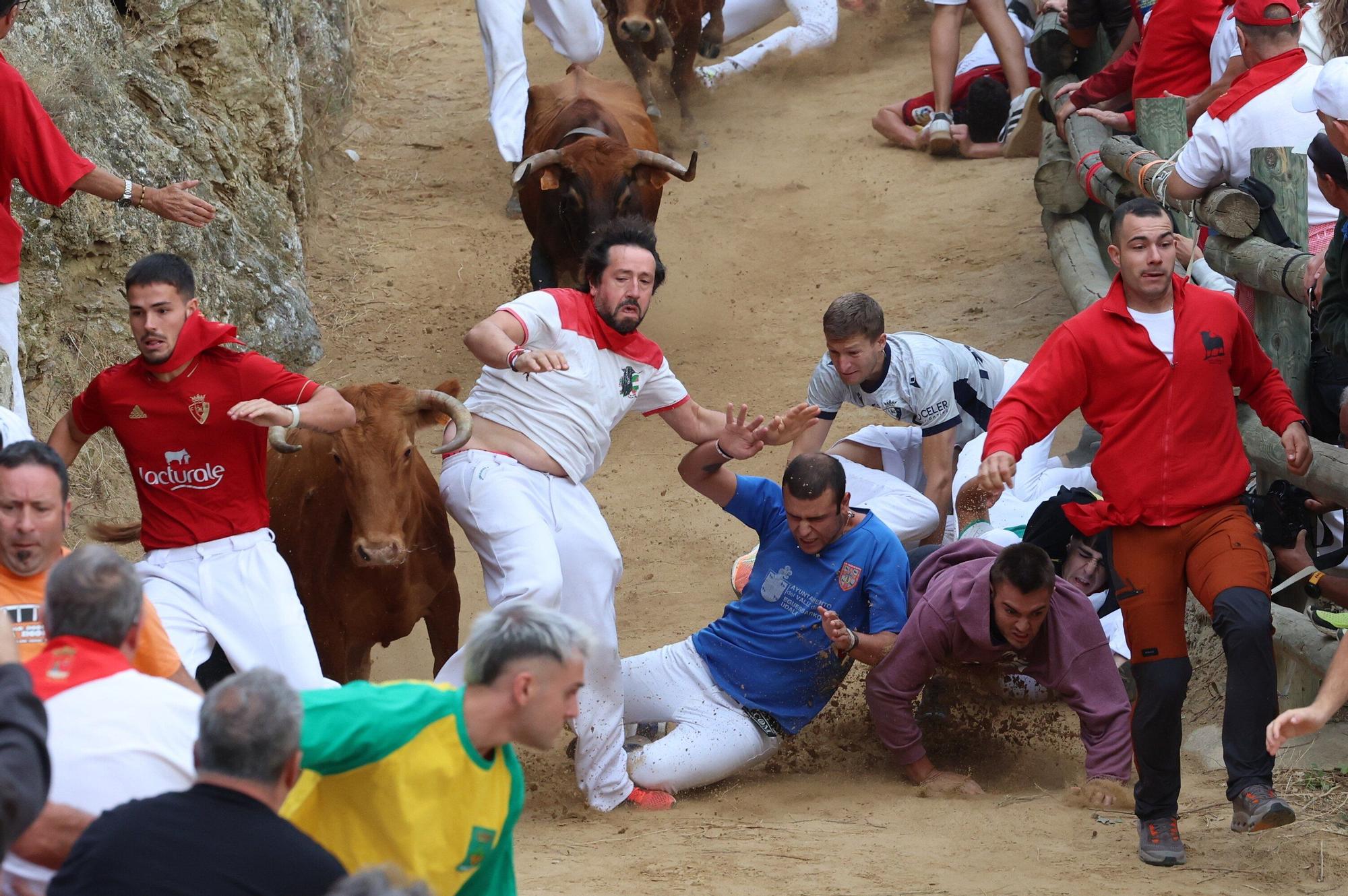 Fotos del sexto encierro del Pilón de Falces 2025, con vacas de Hípica Zahorí