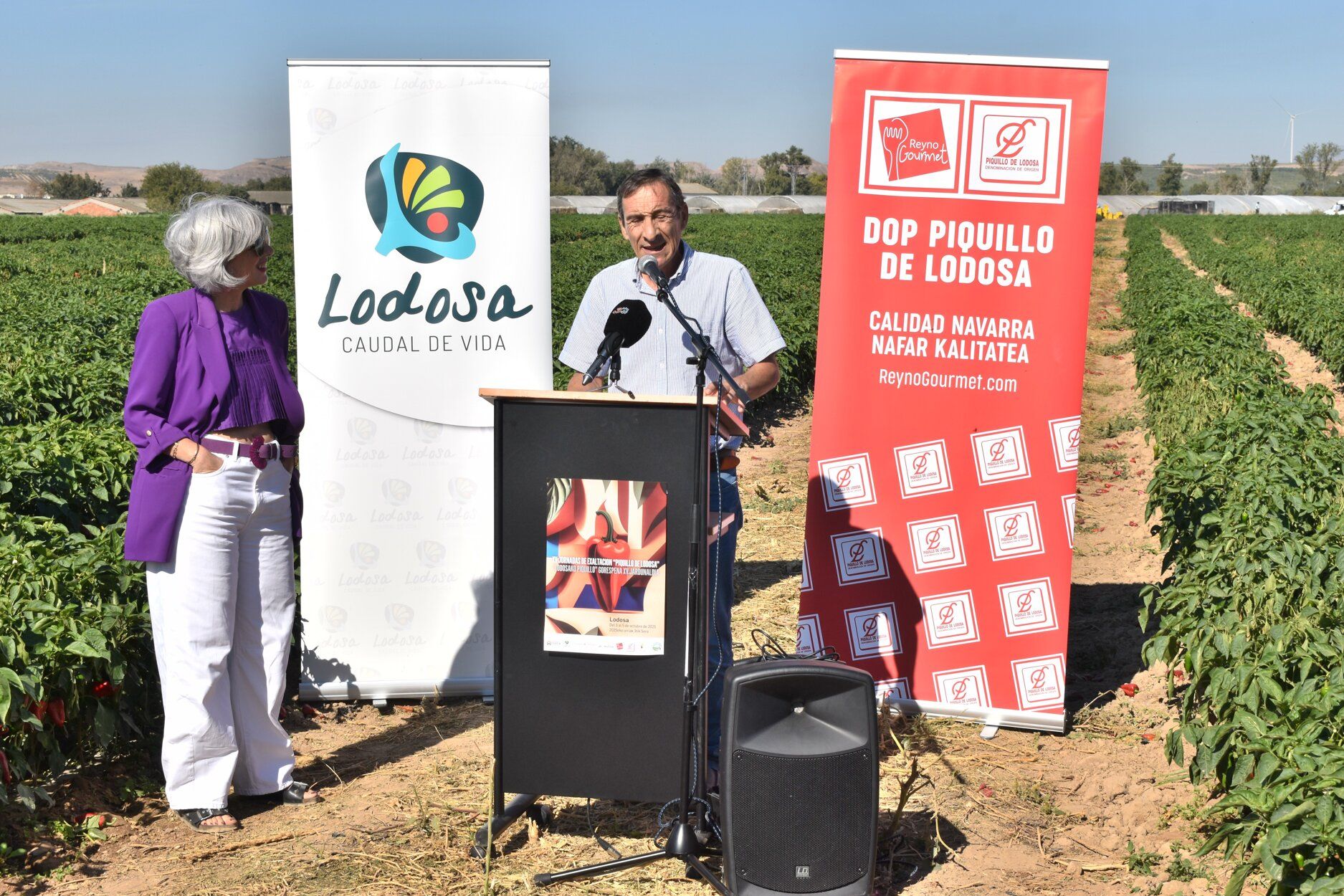 Fotos de las jornadas de exaltación del pimiento del piquillo de Lodosa