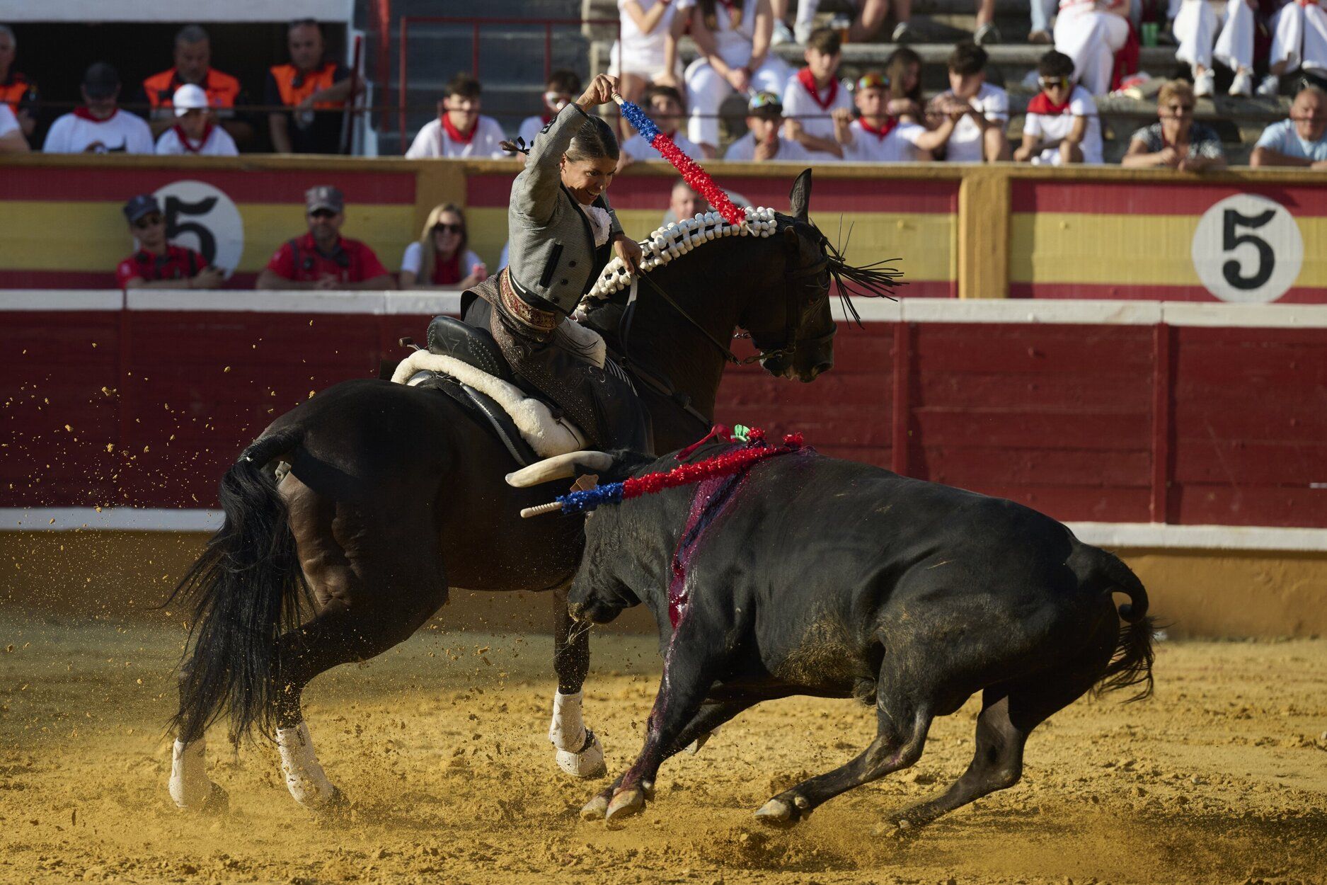 Fotos de la corrida de rejones de este domingo en fiestas de Tudela