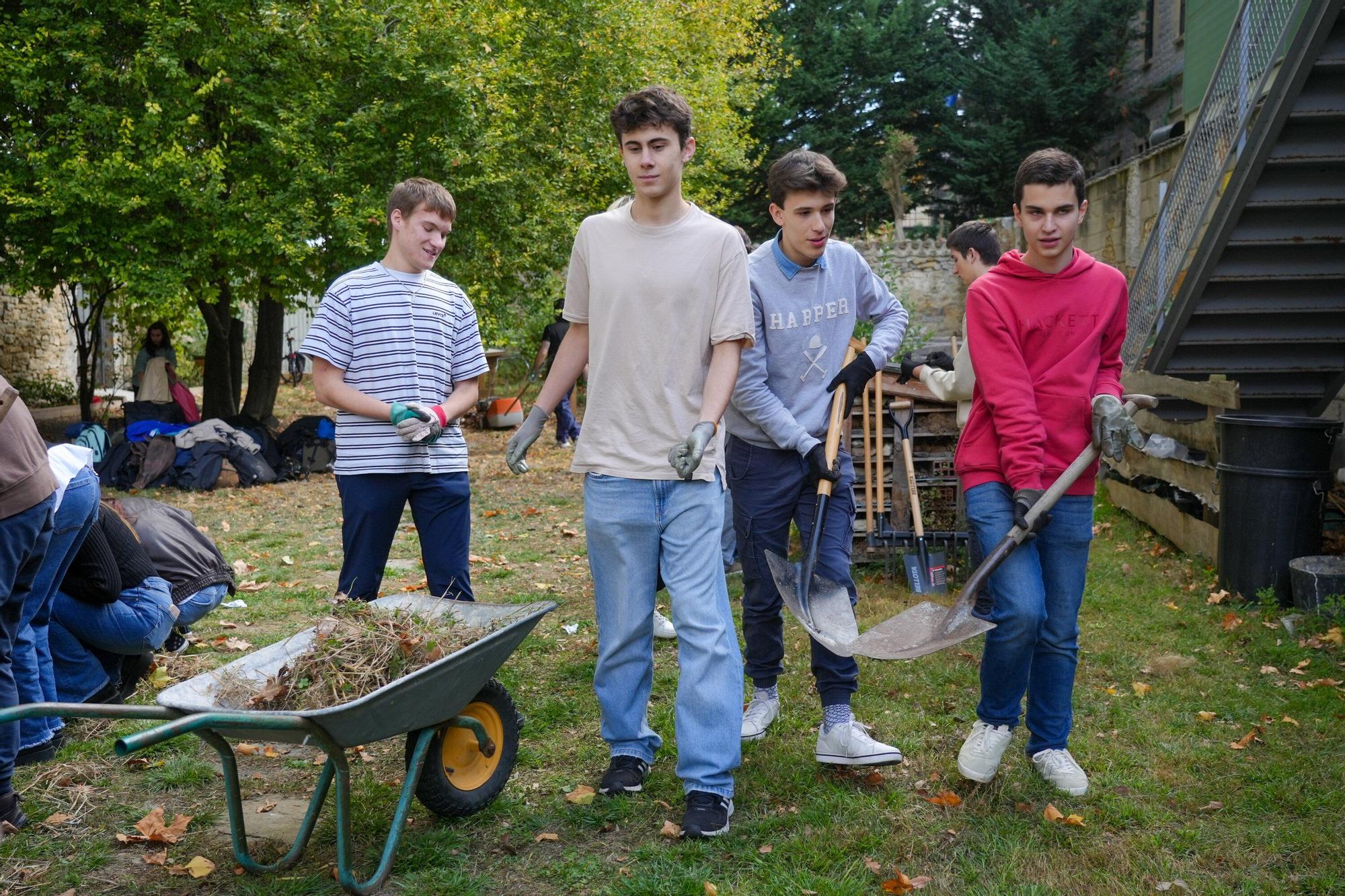En imágenes: La UPV/EHU impulsa un curso de agricultura ecológica en el Campus de Álava