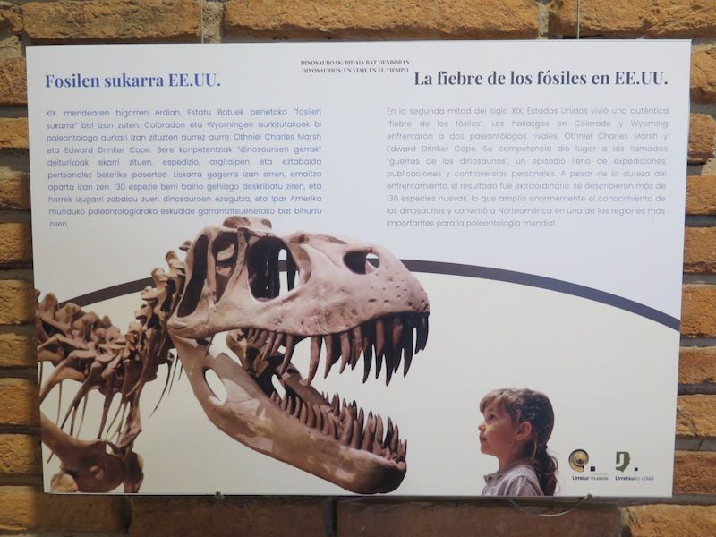 Los minerales, los fósiles y los dinosaurios toman Urretxu