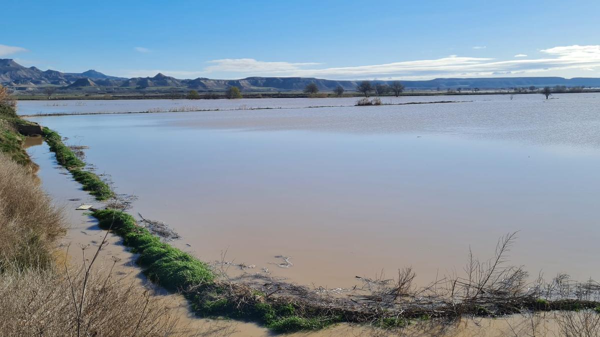 Riada del río Ebro en 2024.