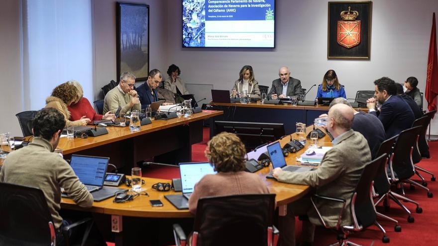 La investigación pública sobre el cáñamo seguirá adelante tras identificar las variedades mejor adaptadas a Navarra