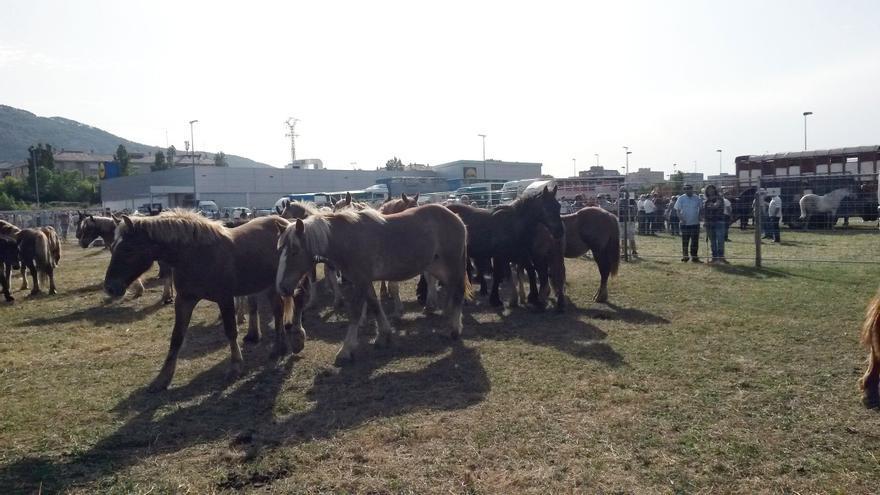 La feria de ganado equino de San Fermín cambia de fecha