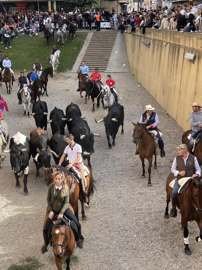 feria marcilla-maria san gil.JPG