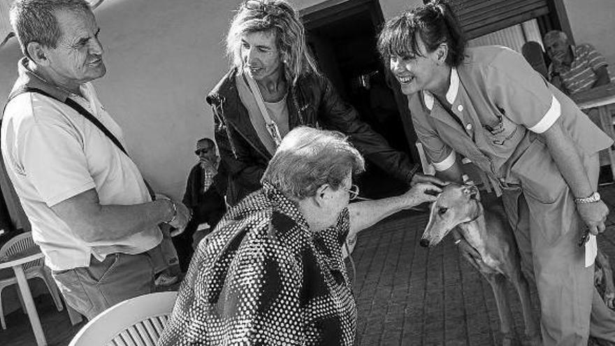 Sesión explicativa para profesionales sociosanitarios sobre ‘galgoterapia’ en Elizondo.