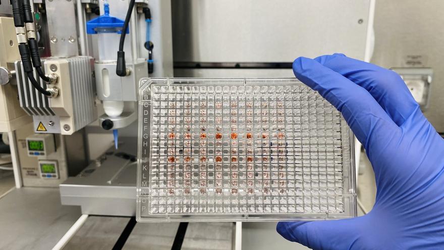 Investigadores vascos imprimen tumores de mama en 3D para acercar la cura a cada paciente