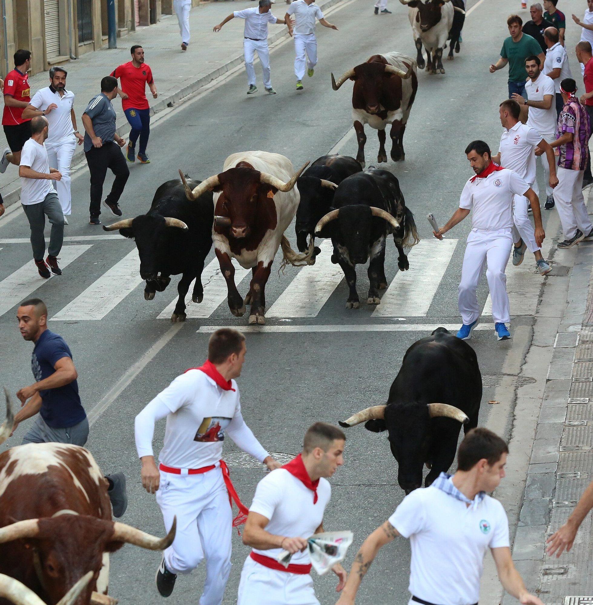 Fotos del primer encierro de fiestas de Tafalla