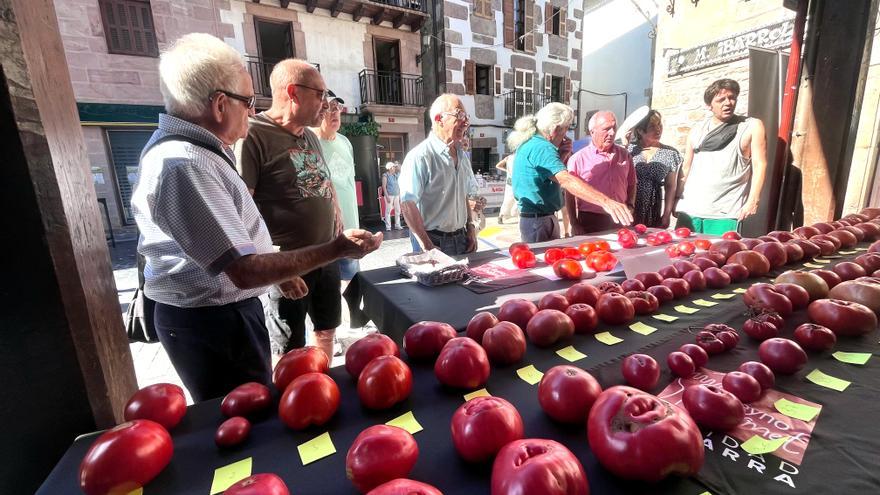 Los mejores tomates antiguos, premiados