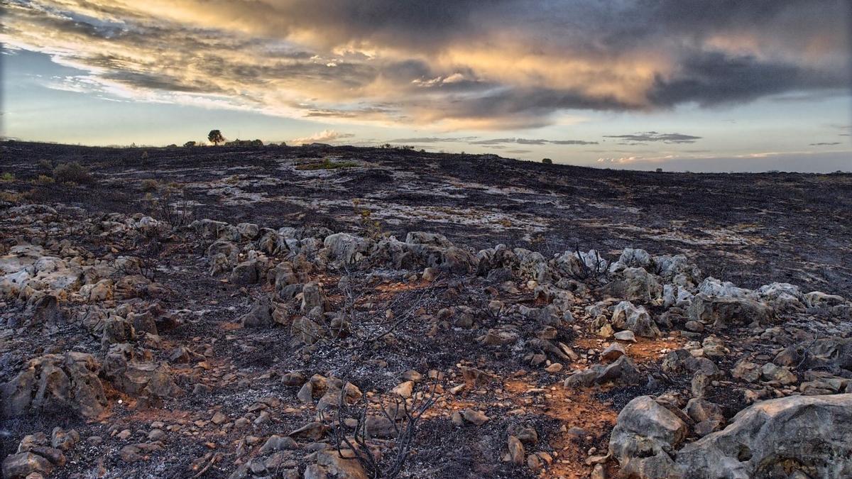 La degradación localizada en las zonas áridas, afecta al 60,94% de estas (206.203 kilómetros cuadrados)