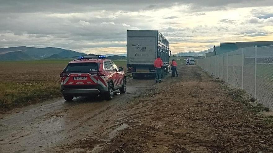 Muere un trabajador en un accidente laboral en Abárzuza