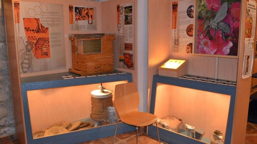 Miel del Gorbeia: secretos y curiosidades en un museo único