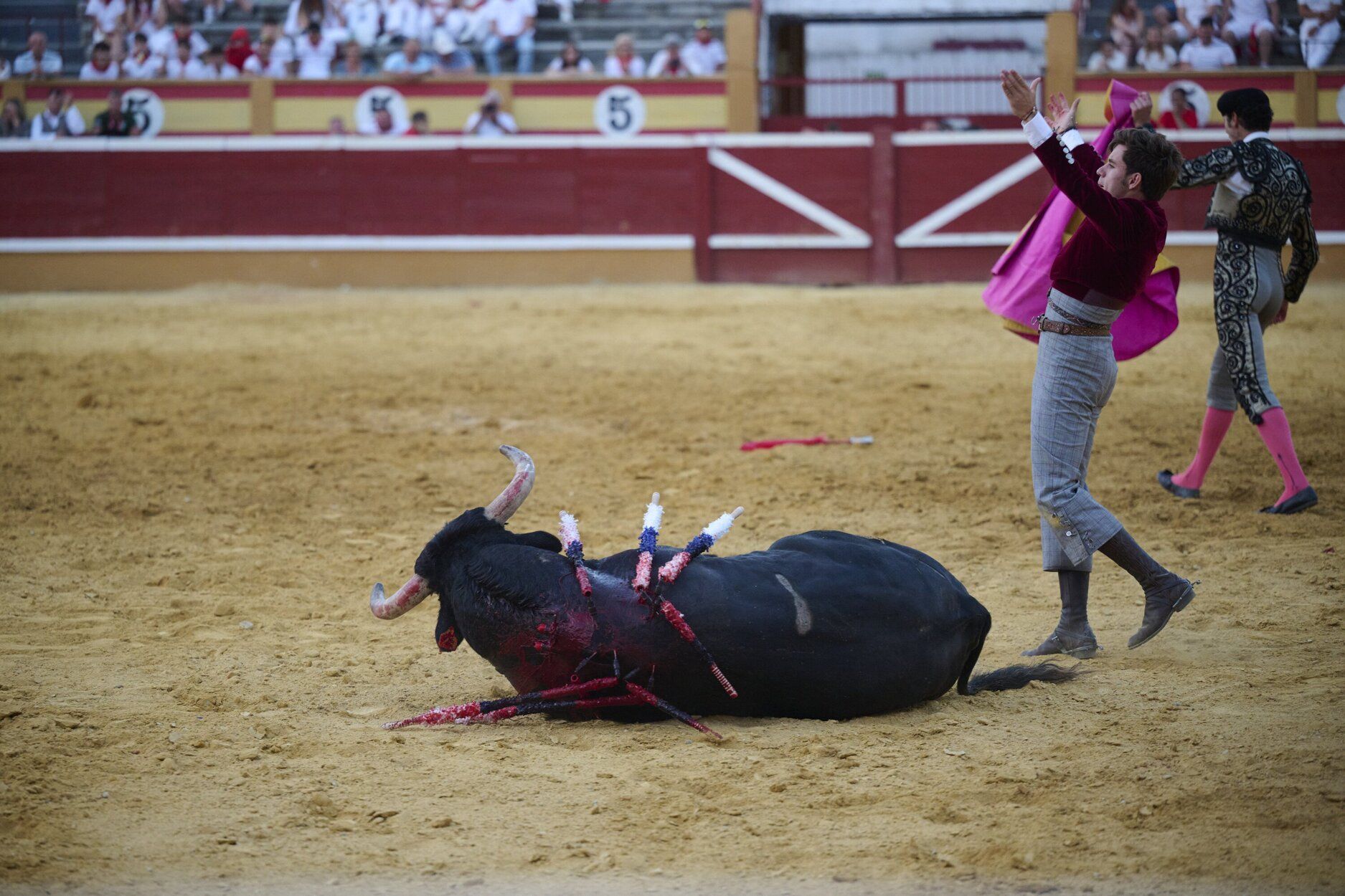 Fotos de la corrida de rejones de este domingo en fiestas de Tudela