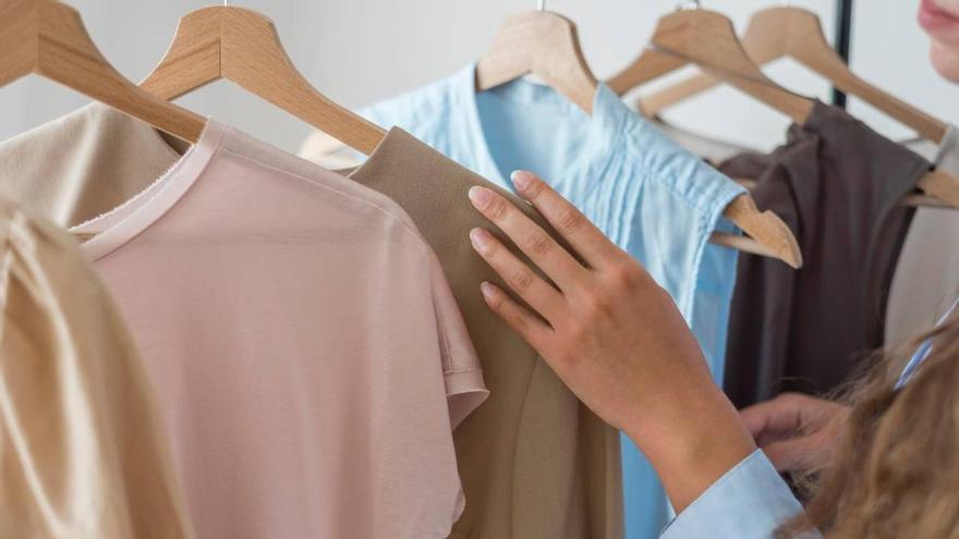 Cómo deshacerse de las polillas de la ropa y proteger los tejidos, según la OCU