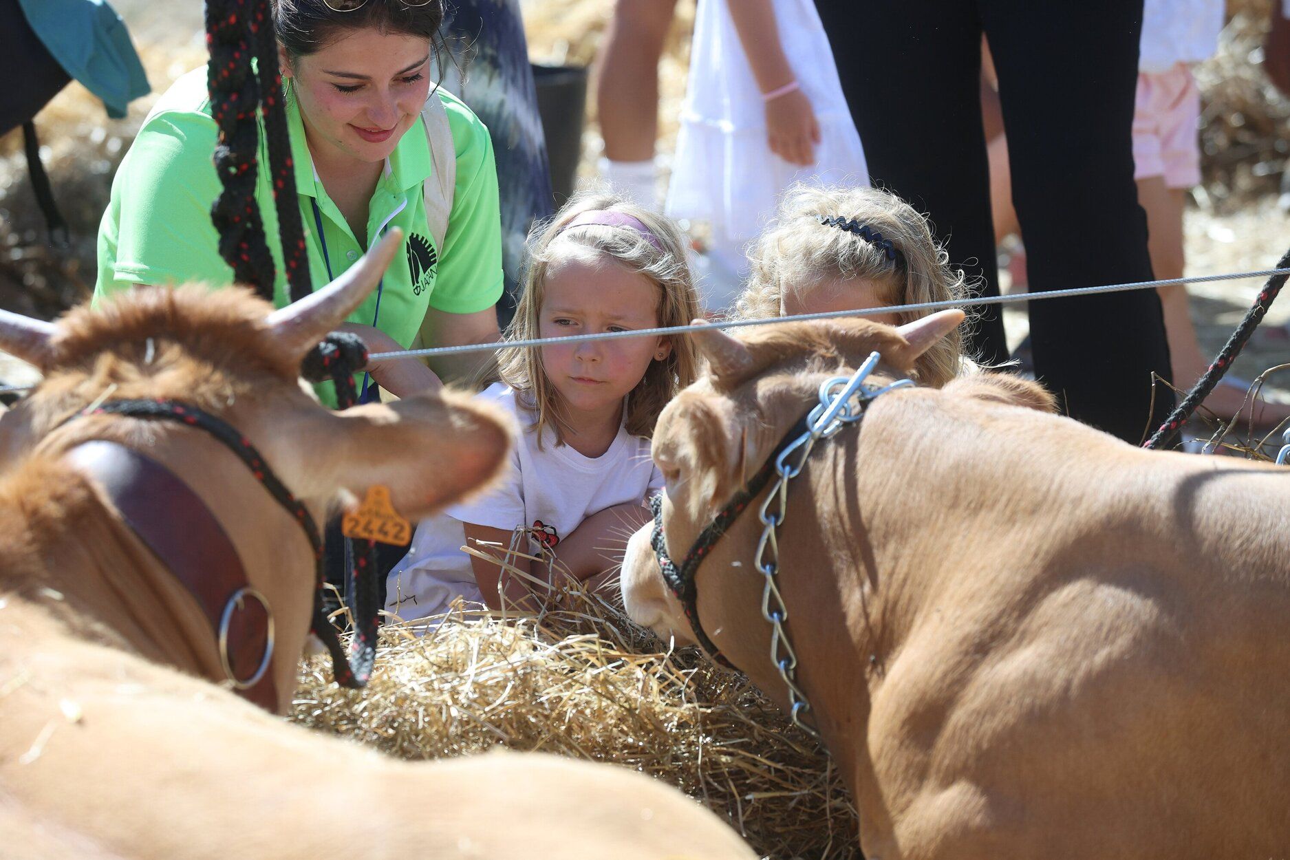 Fotos de la feria de ganado autóctono este sábado en Pamplona