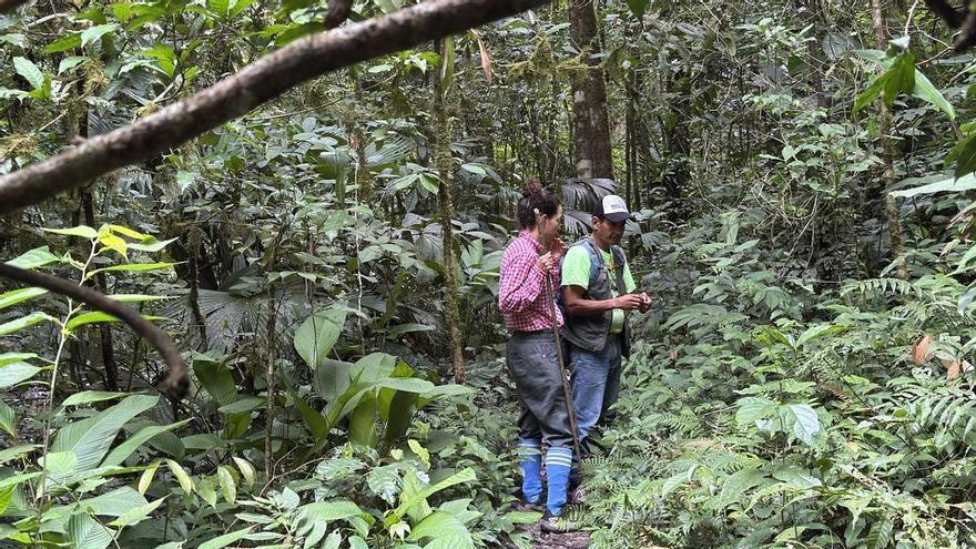 Rumbos olvidados: Paraguay-Bolivia, de los llanos a la selva