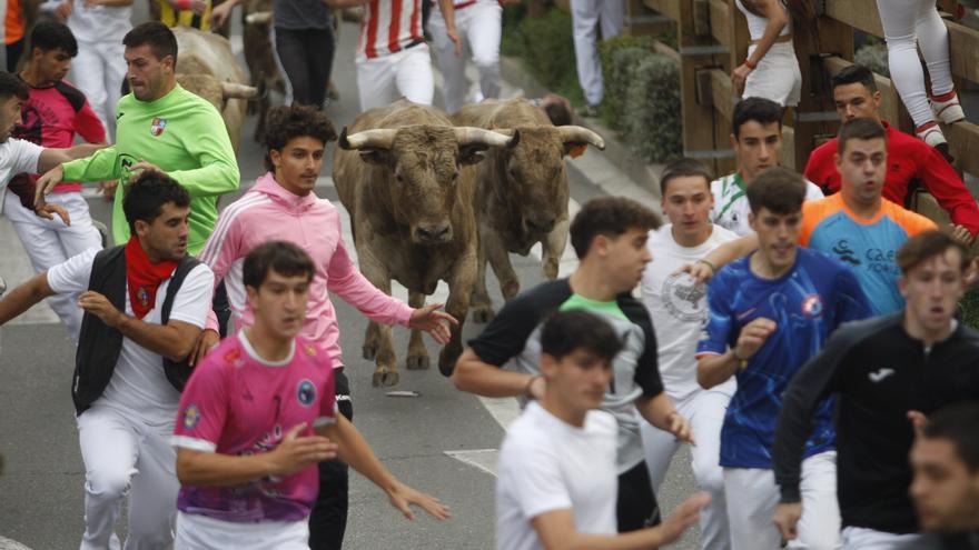 Sexto encierro de las fiestas de Tudela 2025: Punto y final