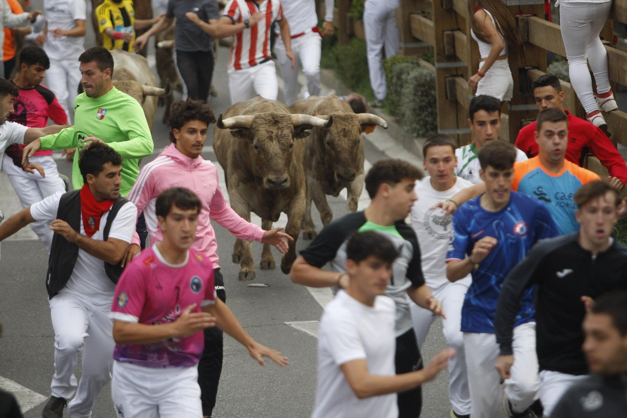 Fotos del sexto y último encierro de las fiestas de Tudela 2025