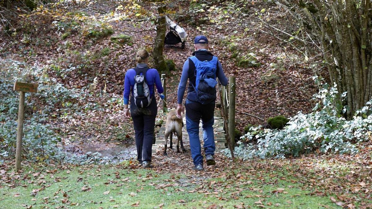 Las seis rutas más bonitas para adentrarse en el paraíso otoñal de la Selva de Irati