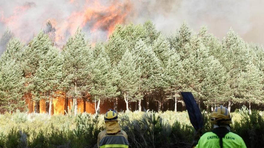 El fuego pone en jaque al lago de Sanabria: envían una alerta a los vecinos para evitar actividades en la zona