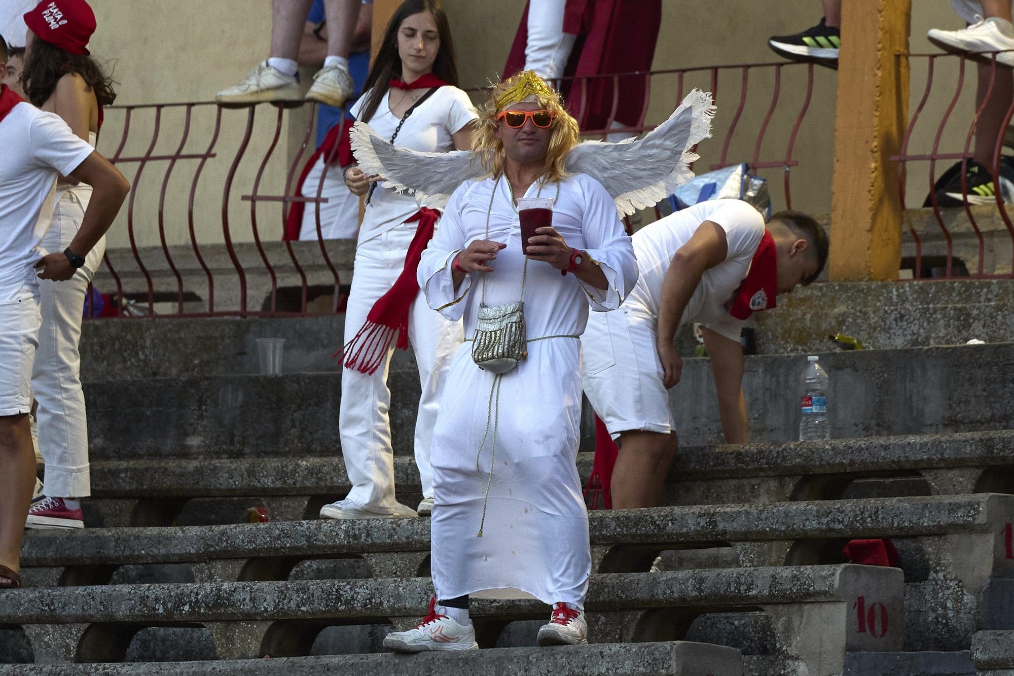 Fotos de la corrida de toros en Tudela con toros de Garzón Valdenebro