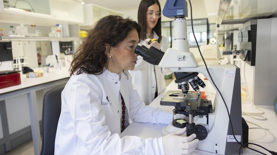 Euskadi abre una nueva vía terapéutica para una enfermedad hepática rara