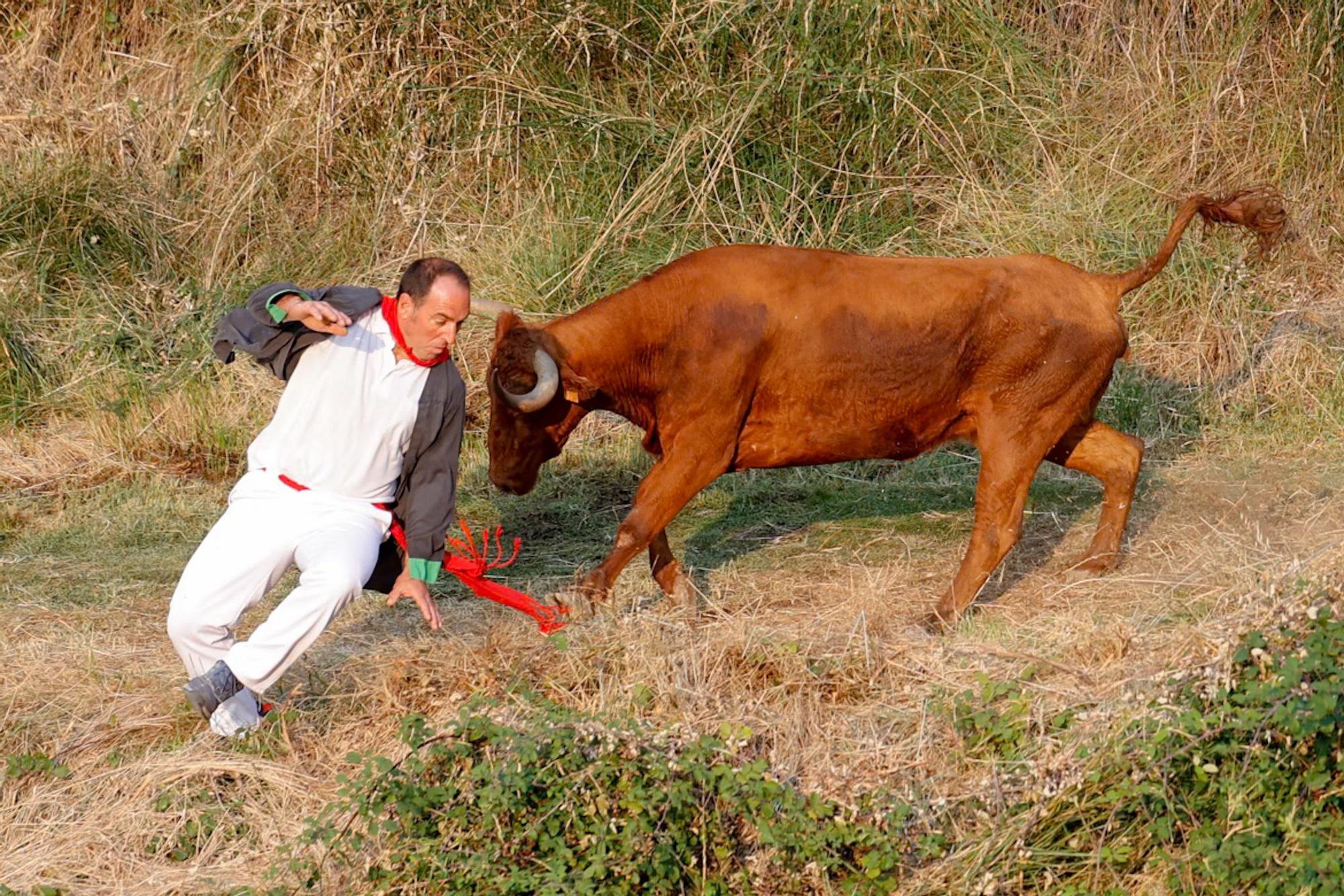 Fotos del cuarto encierro del Pilón de Falces 2025