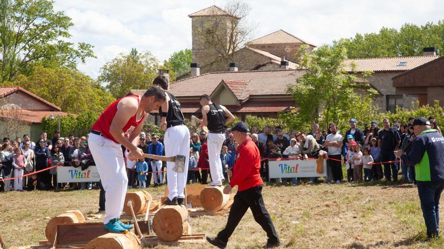 La guía más completa: No te pierdas nada de San Prudencio y Estíbaliz 2026