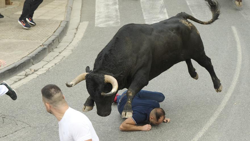 Fotos del primer encierro de fiestas de Tafalla 2026: 3 minutos y 12 segundos y pánico por un toro suelto