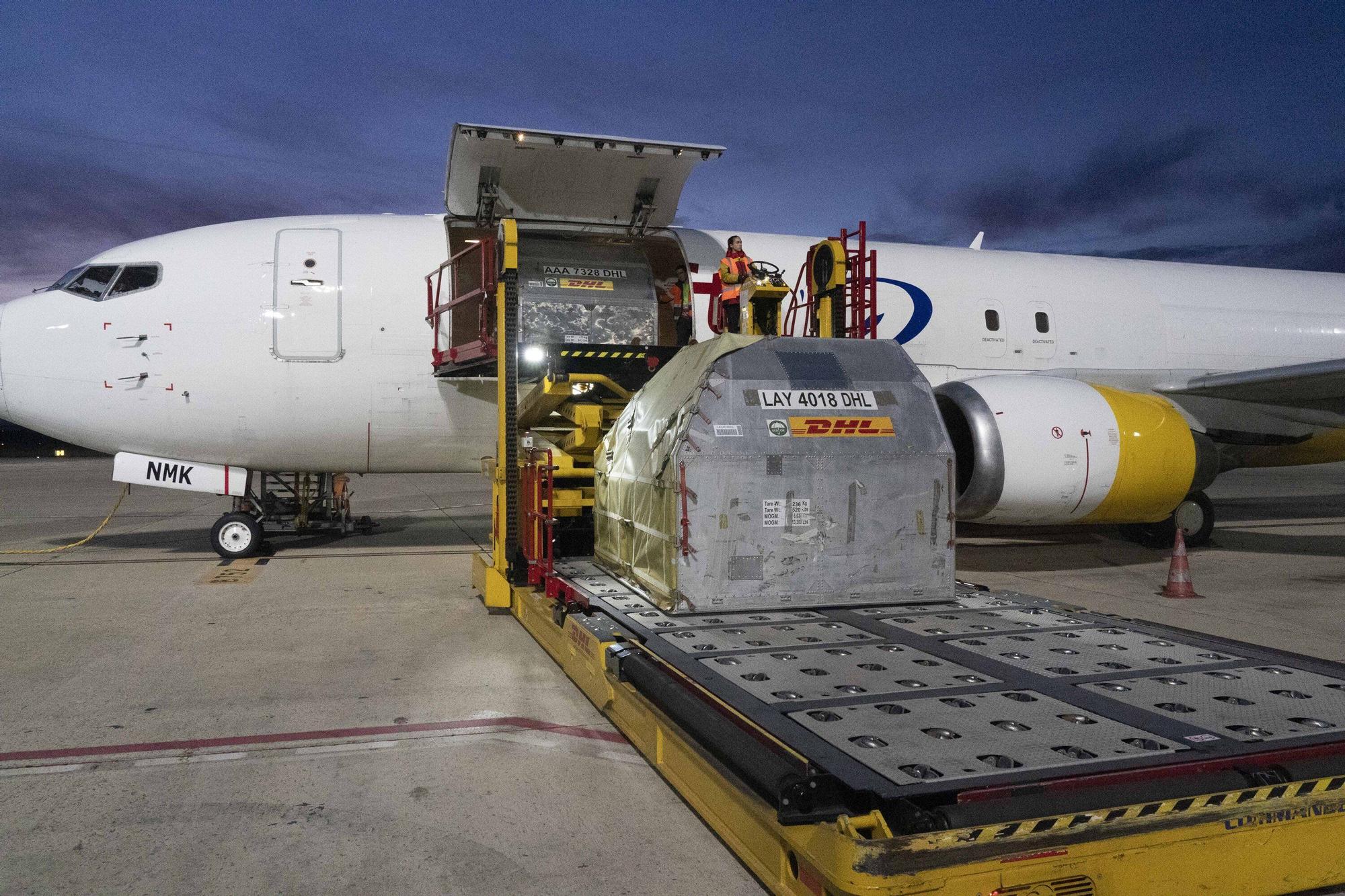 Reportaje sobre la actividad de DHL en Foronda