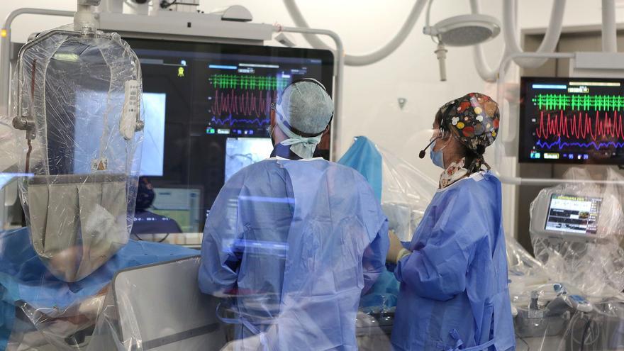 Se refuerza el sistema vasco de eutanasia y se completan 80 procedimientos en 2025