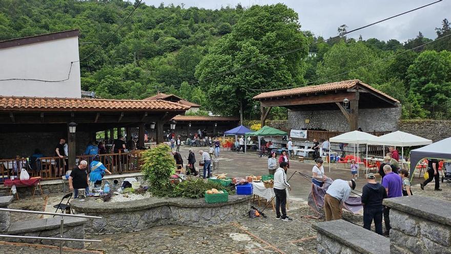 Lanestosa celebra sus 739 años como villa con un concurso de putxeras