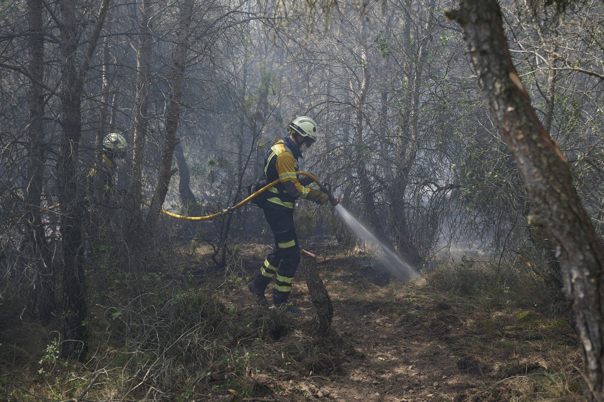 Fotos del incendio forestal cerca de Carcastillo