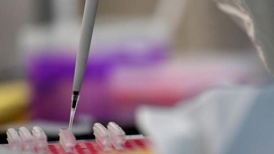 Suiza mantendrá la experimentación médica con animales
