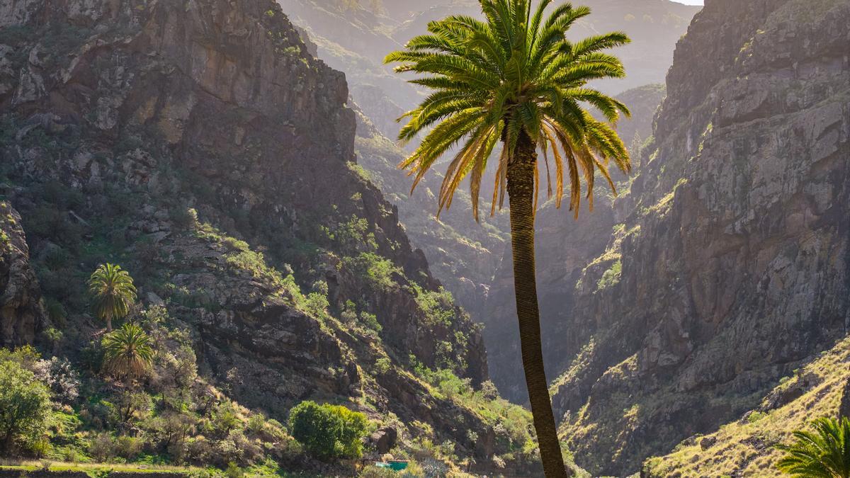 Valle de Agaete, en Gran Canaria.
