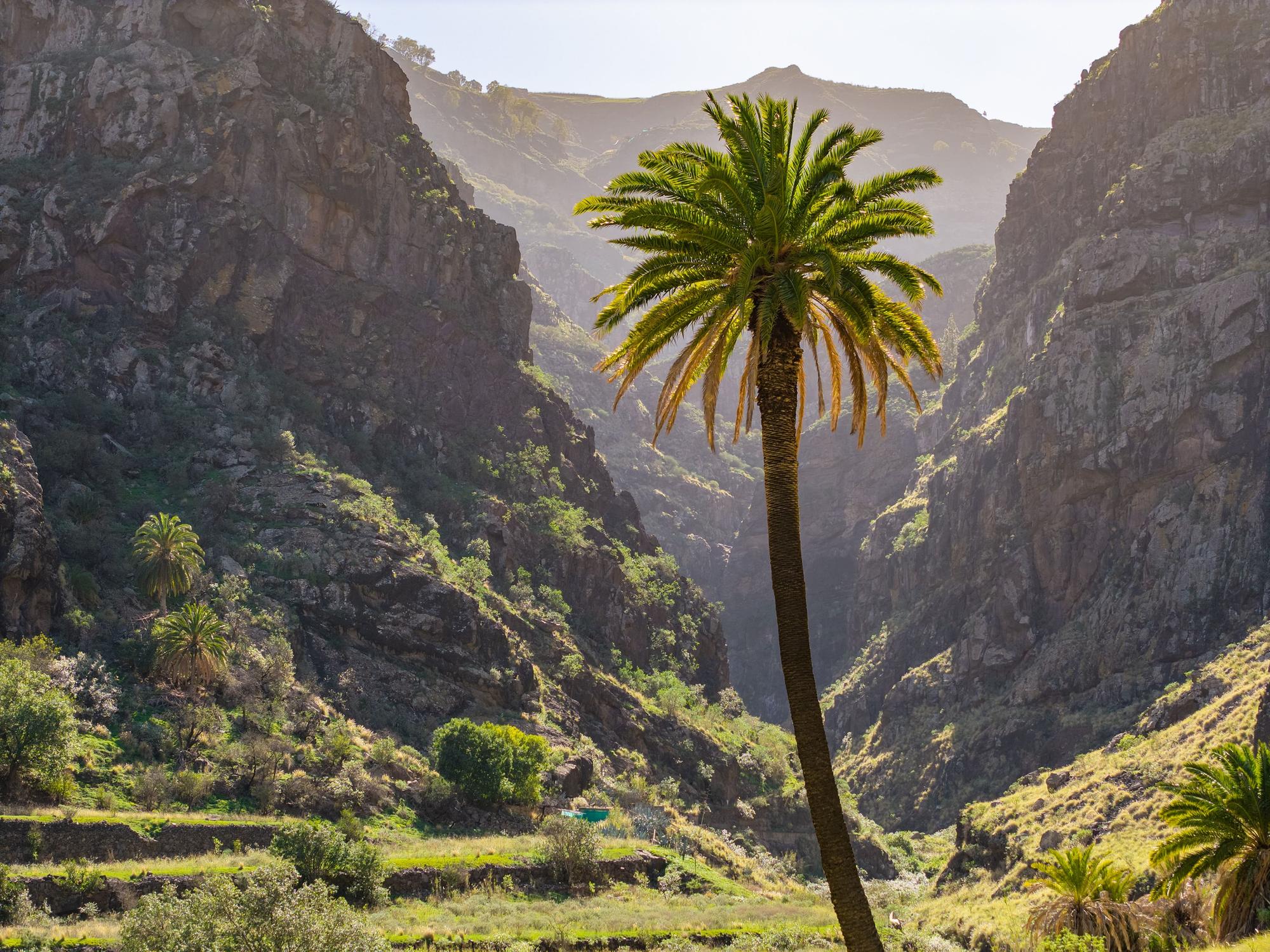 Valle de Agaete, en Gran Canaria.
